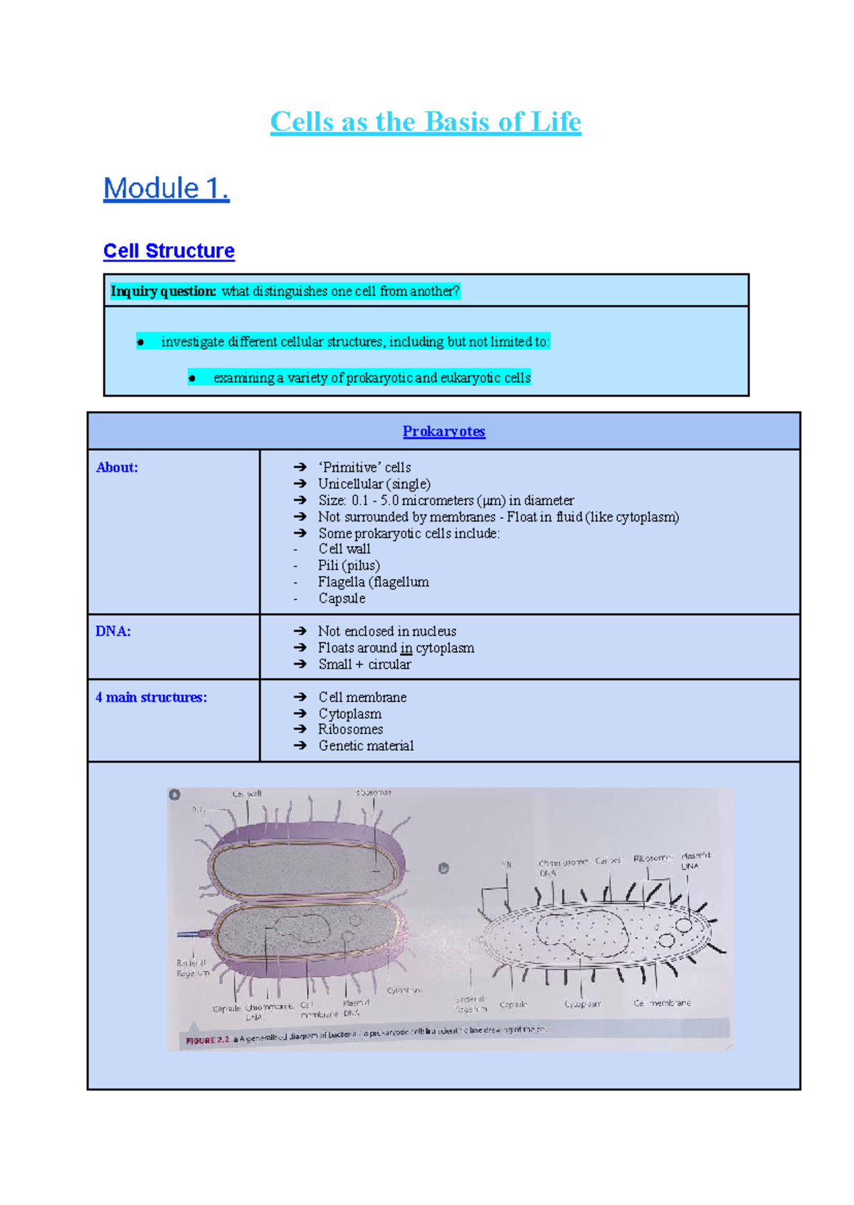 BIO 101: Cells as the Basis of Life - Module 1 Study Notes - Studocu