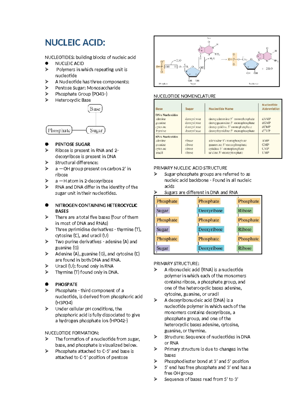 Lesson 1: Midterm on Nucleic Acids and Protein Synthesis Biochem OLFU ...
