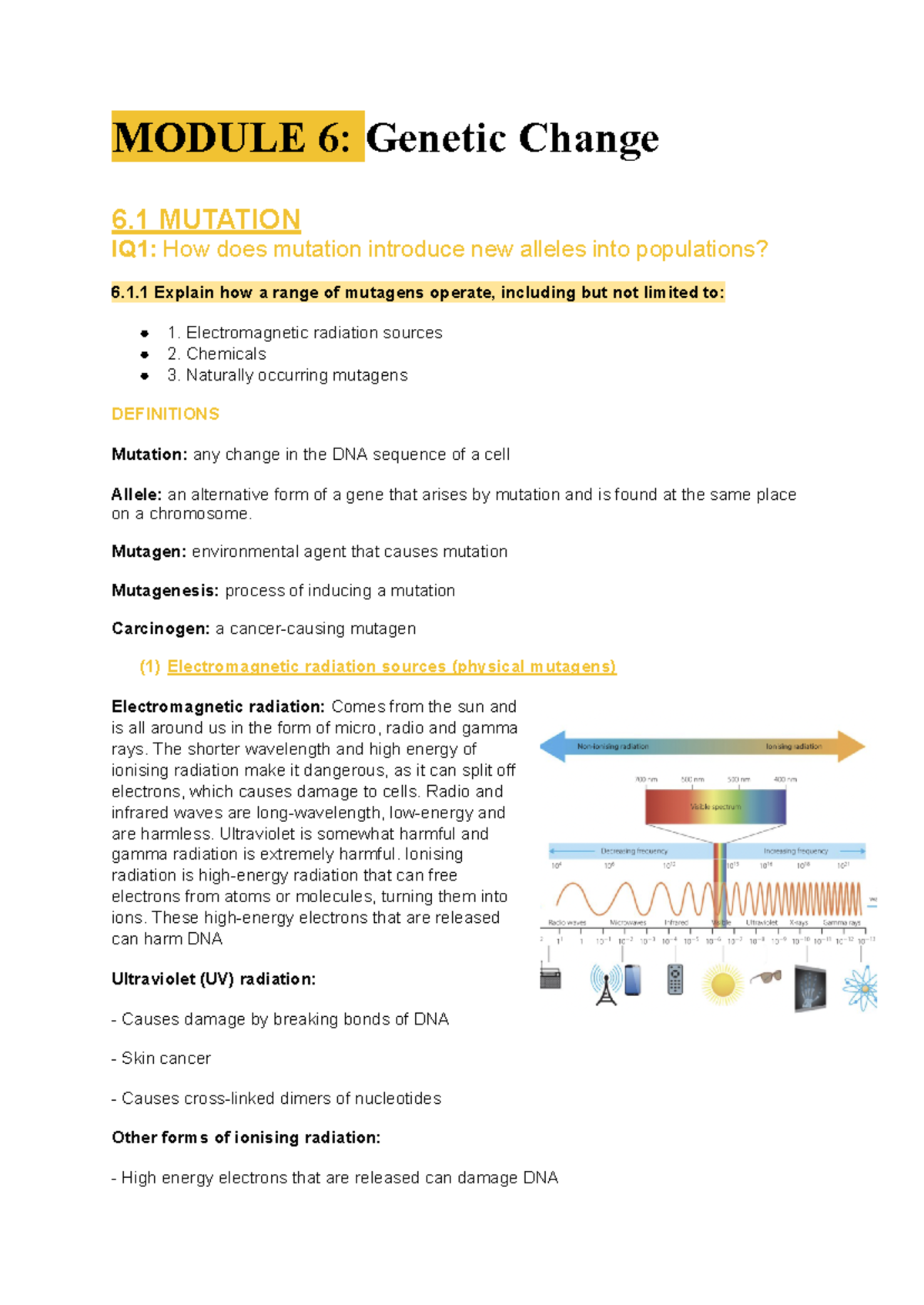 Module 6 Genetic Change - MODULE 6: Genetic Change 6 MUTATION IQ1: How ...