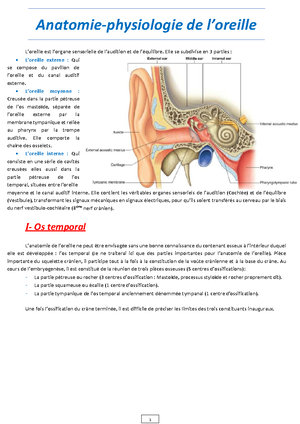 Anatomie du pharynx et de la cavité buccale en ORL - Anatomie du ...