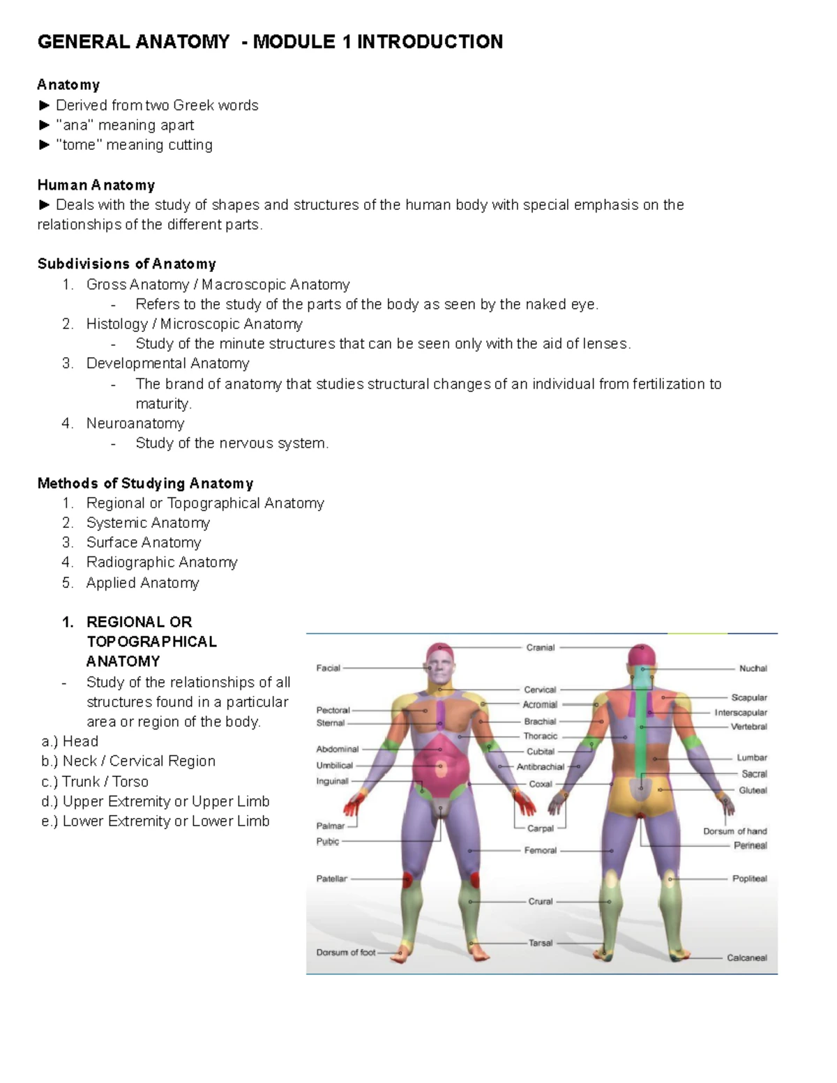 Mathematics in the Modern World: 1st Year Notes for Dentistry Students ...