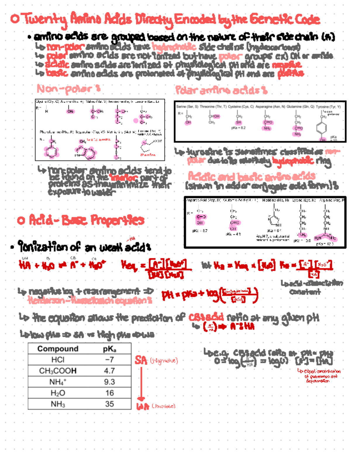 C) Amino Acids and Carbohydrates: Key Concepts in Organic Chemistry ...