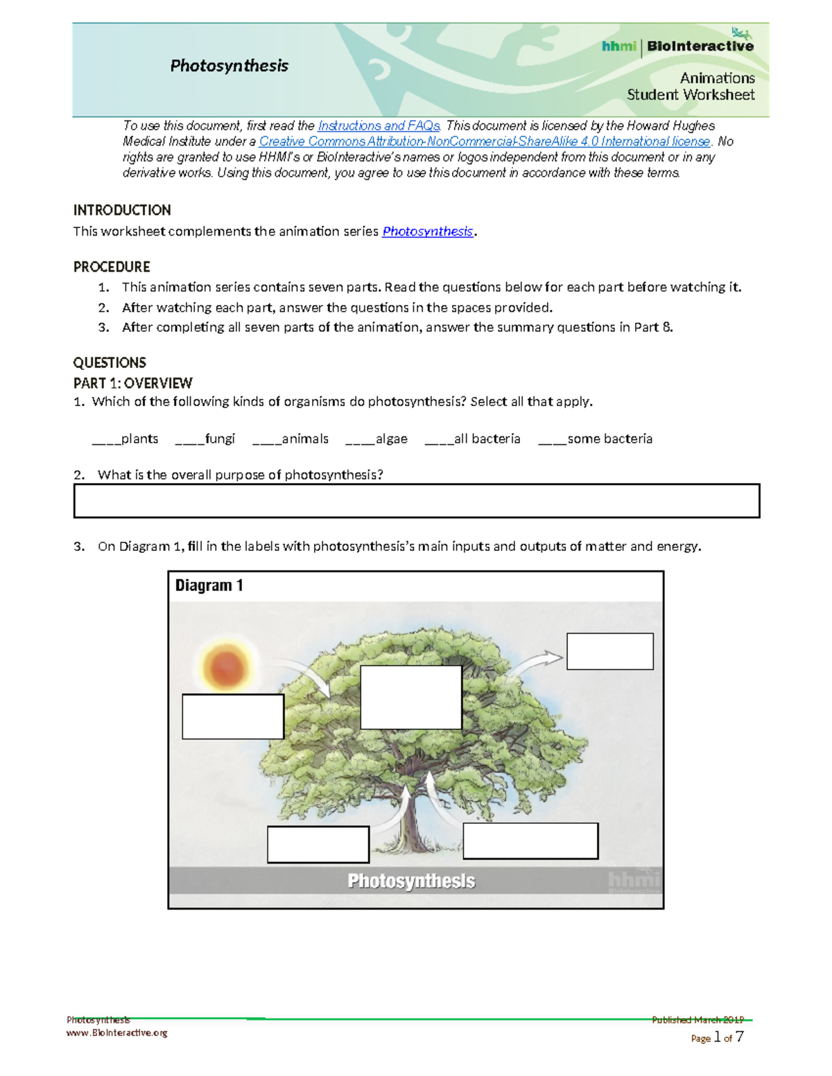 Photosynthesis Worksheet Interactive Worksheet
