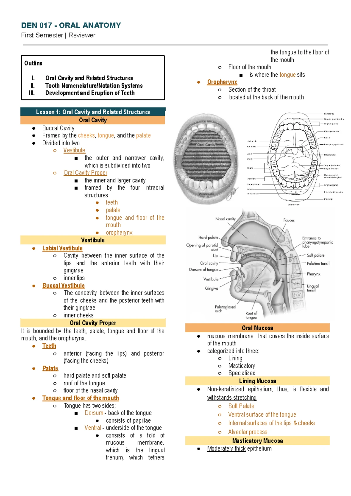 Chapter 13 - Workbook Notes on Oral Anatomy and Infection Control - Studocu