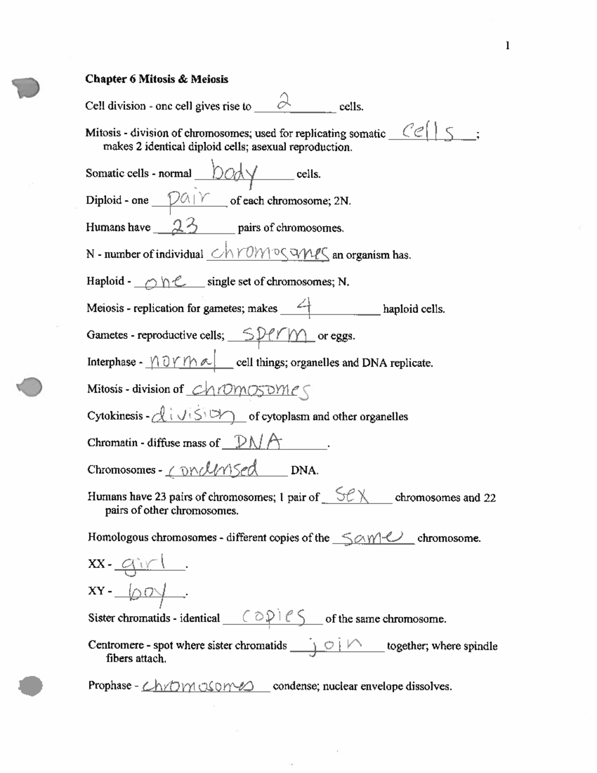 Final Exam Study Guide for Course XYZ-123: Mitosis & Meiosis Concepts ...