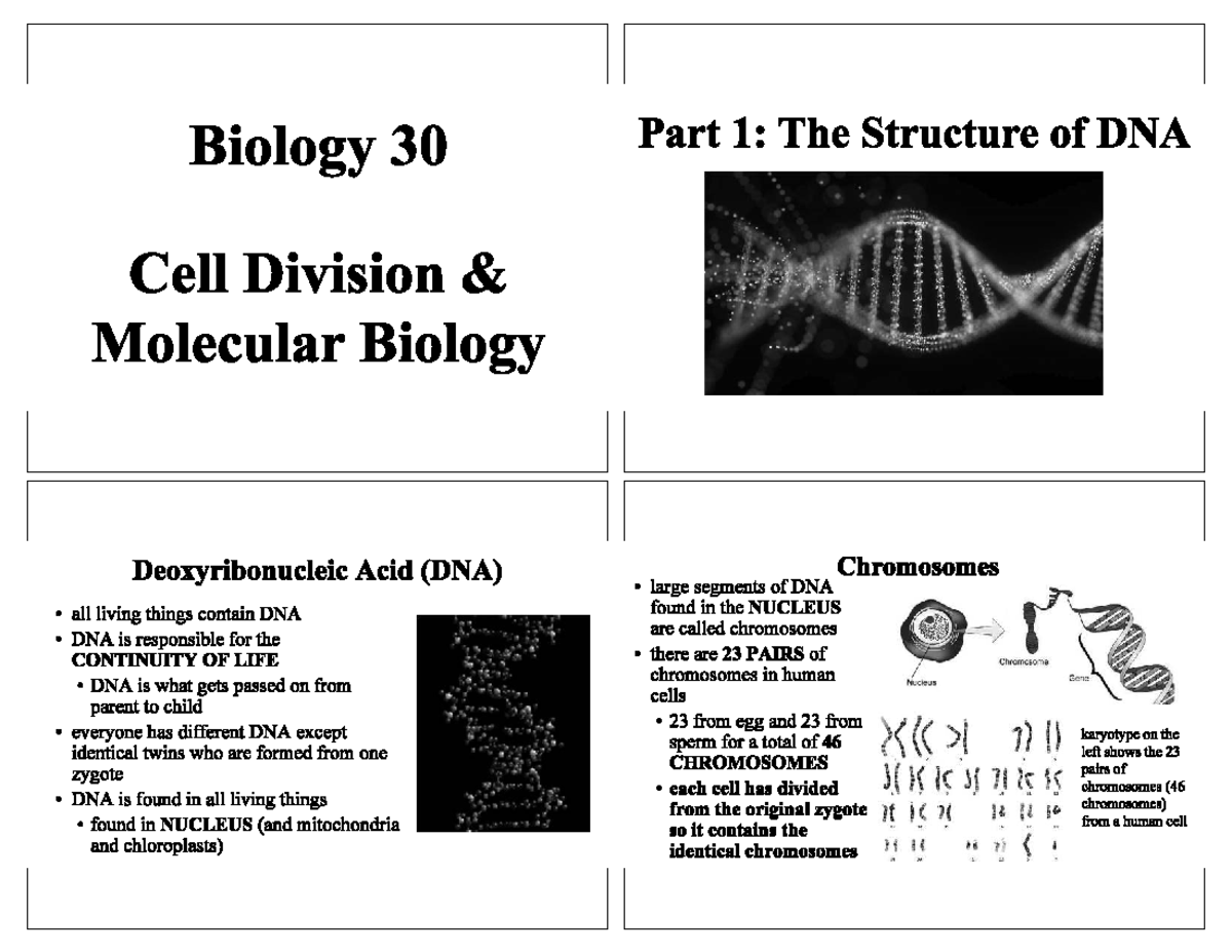 Biology 30 Final Exam Notes: Cell Division & Molecular Biology 2023 ...