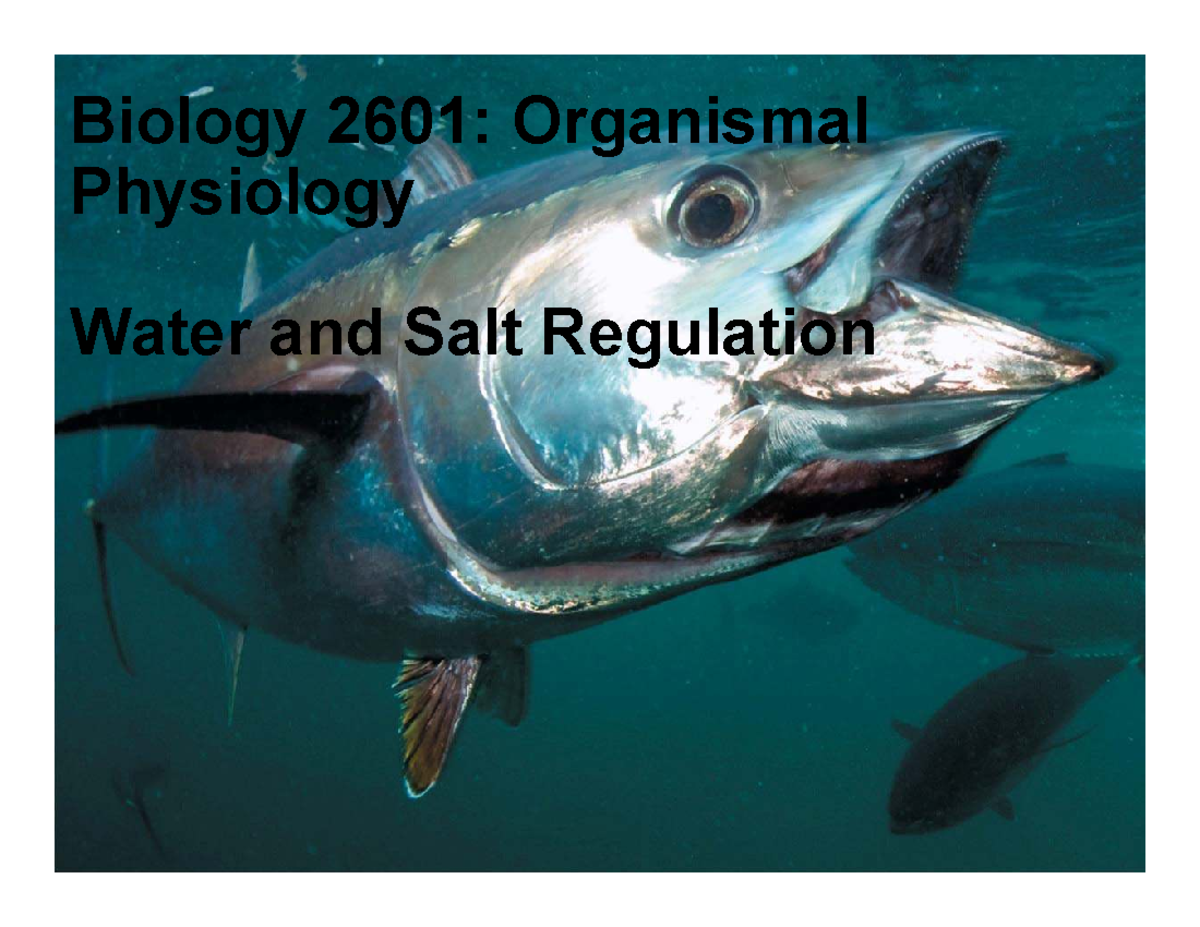 Biology 2601: Lecture 20 on Water and Salt Regulation in Organisms ...
