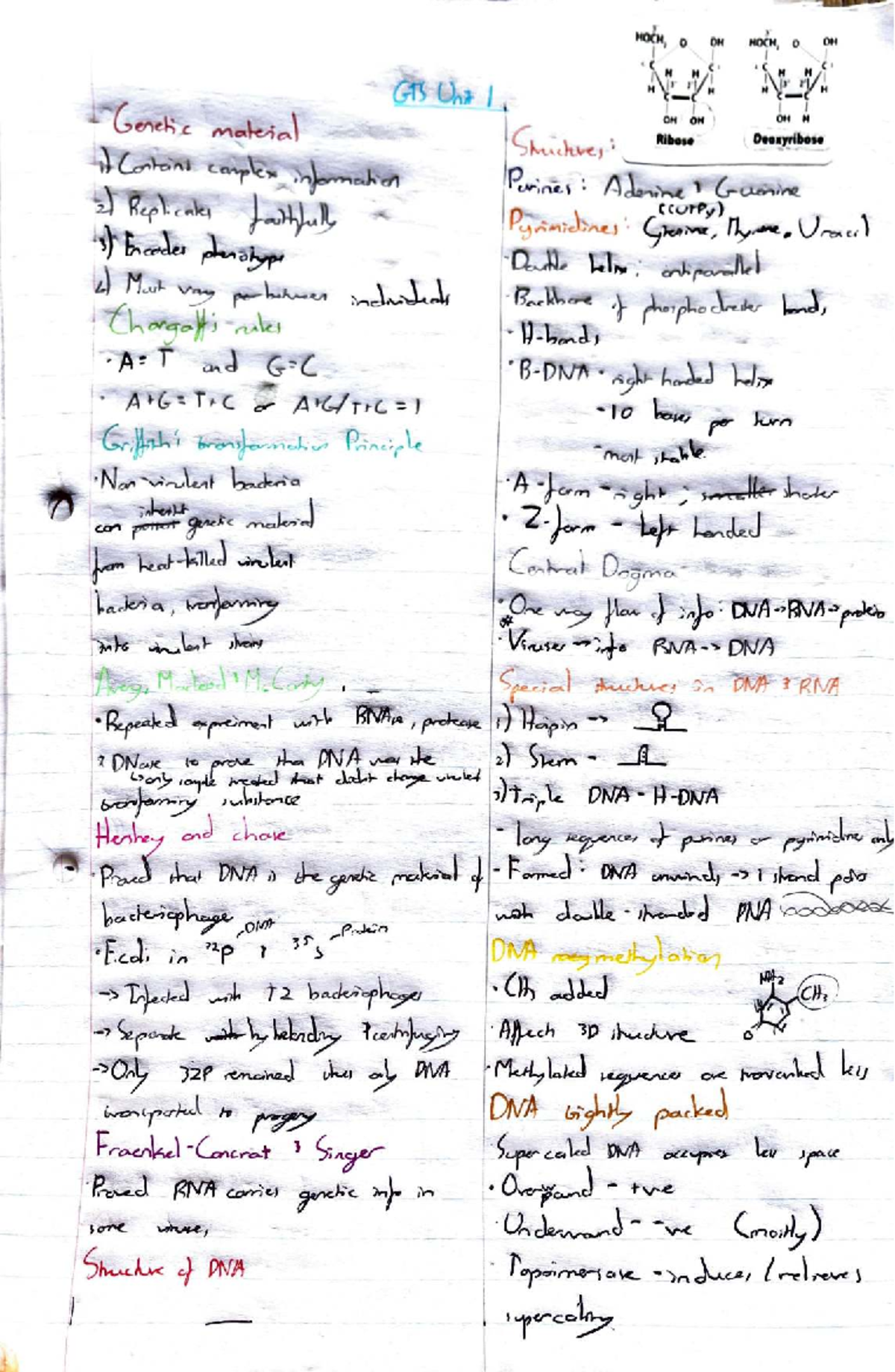 GTS 251 Unit 1 Lecture Notes on RNA and DNA - Studocu