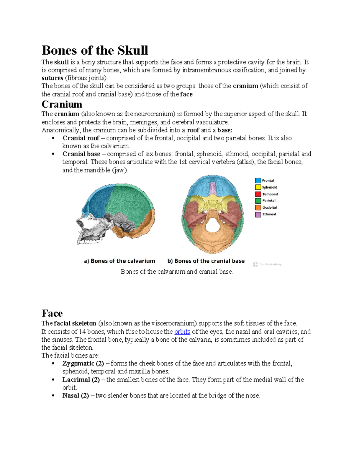 Bones of the Skull - Course notes - Bones of the Skull The skull is a ...