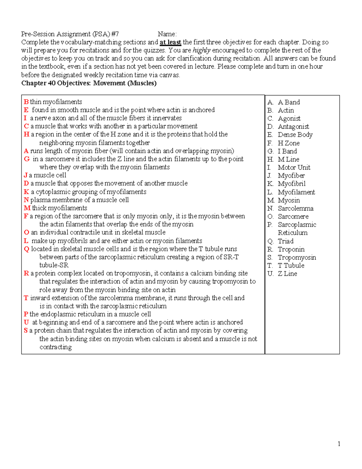 Recitation PSA 7: Chapter 40 Objectives on Muscle Movement - Studocu