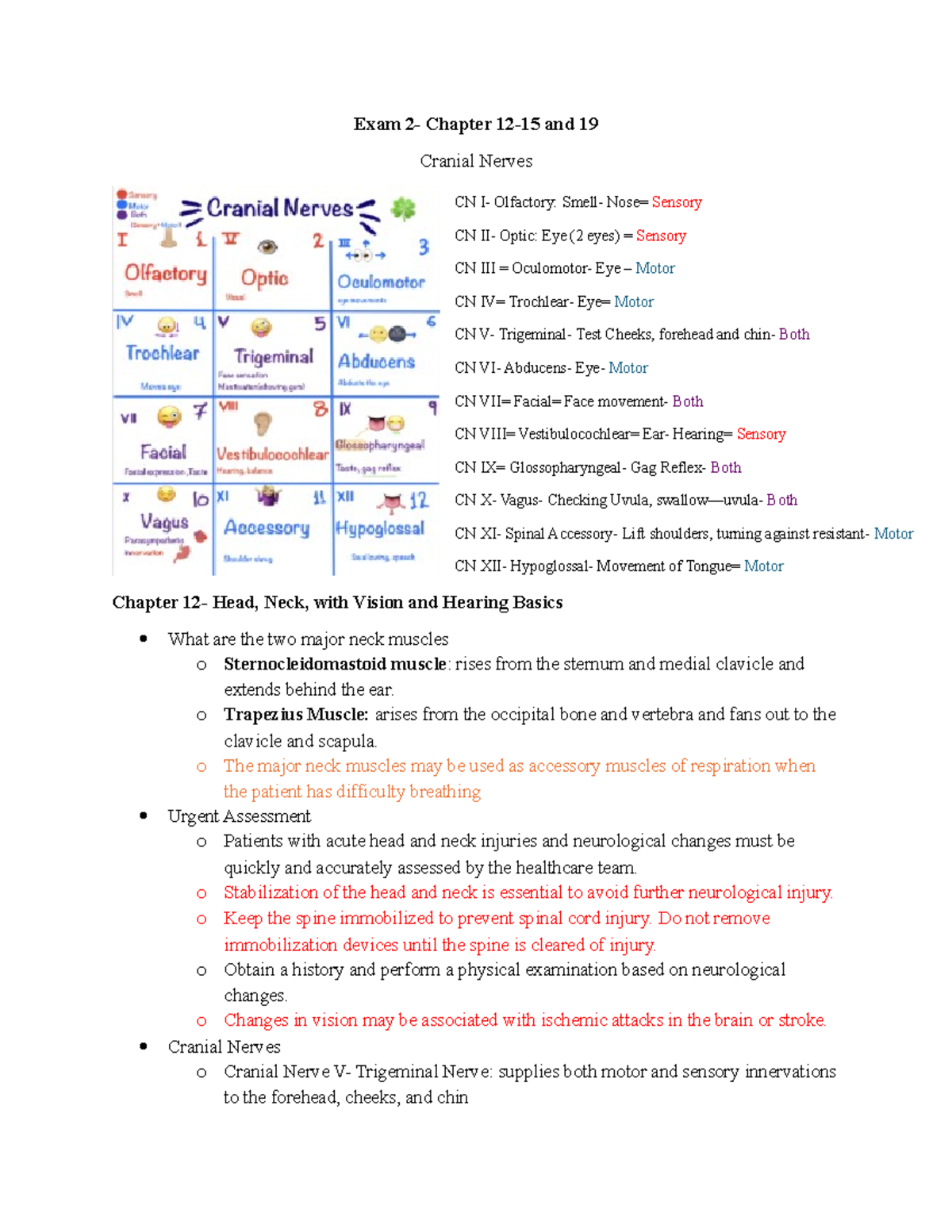 Exam 2 - Notes for exam - Exam 2- Chapter 12-15 and 19 Cranial Nerves ...