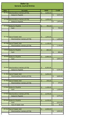 ACC 317 Project 1 Workbook - ACC 317 Project 1 Workbook SNHU Ledger ...