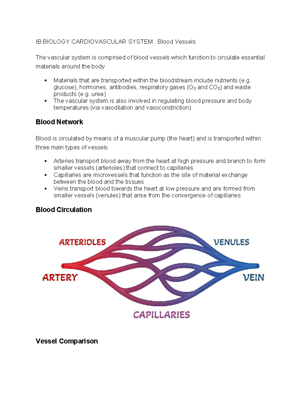 IB BIOLOGY: Cardiovascular System - Blood Vessels Overview - Studocu