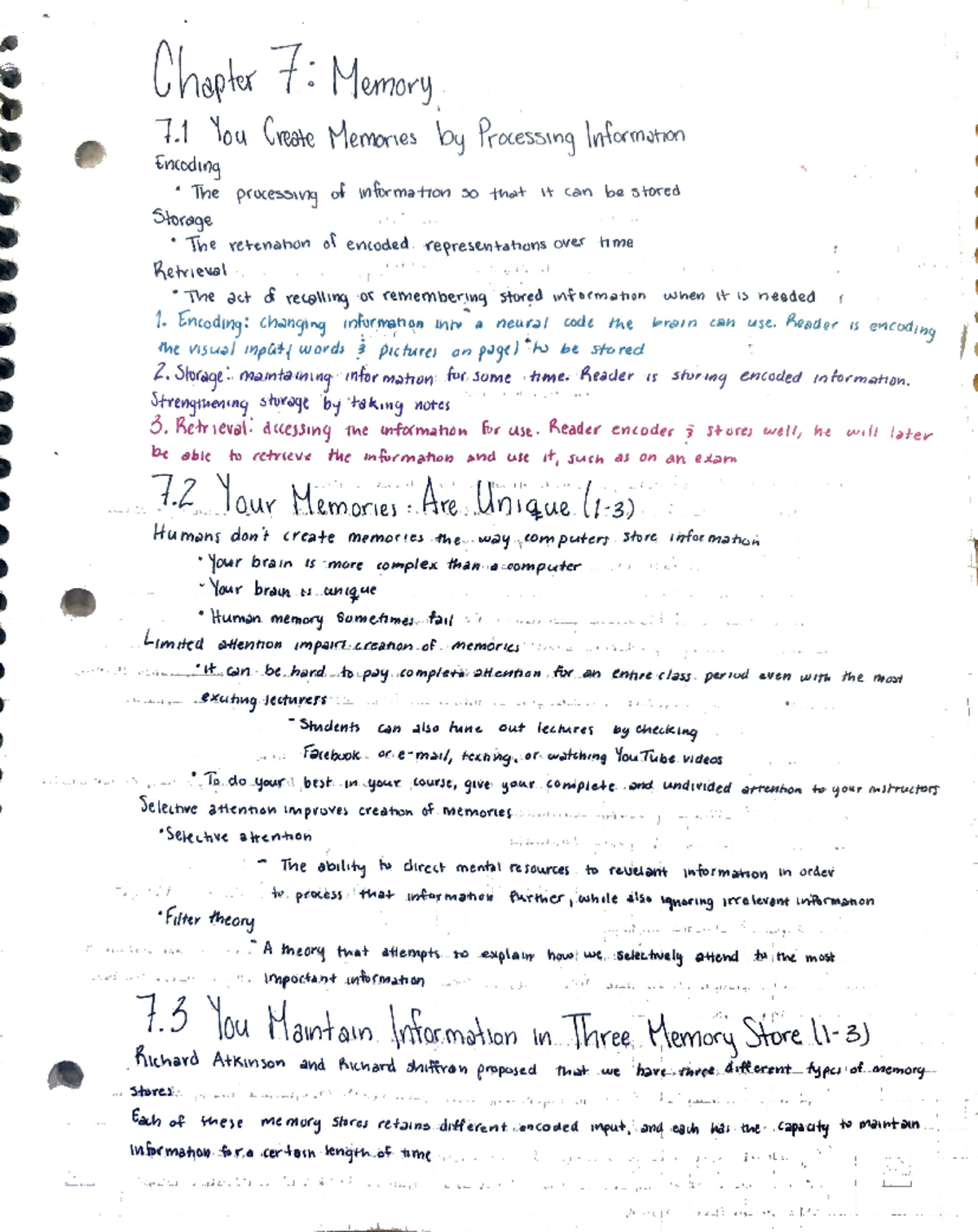 Psychological Memory Notes - Review for Upcoming Exam - Studocu
