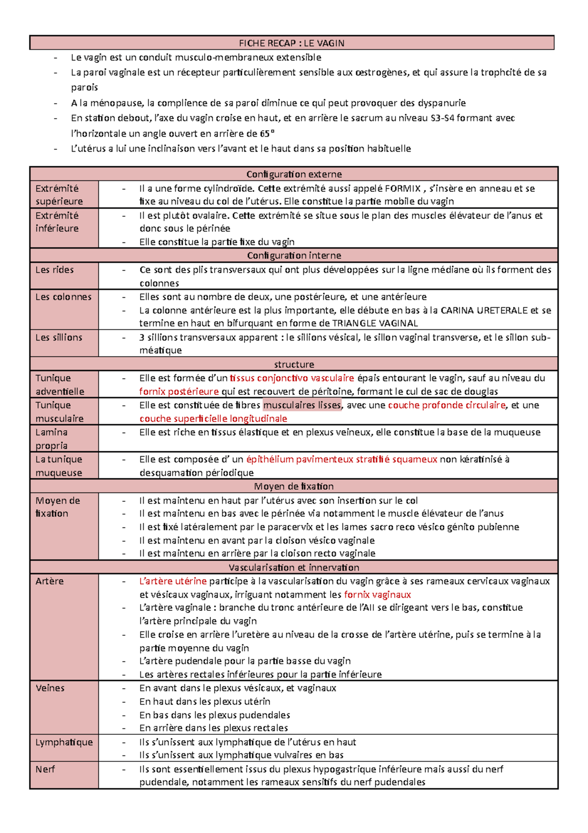 fiche-recap-vagin-fiche-recap-le-vagin-le-vagin-est-un-conduit