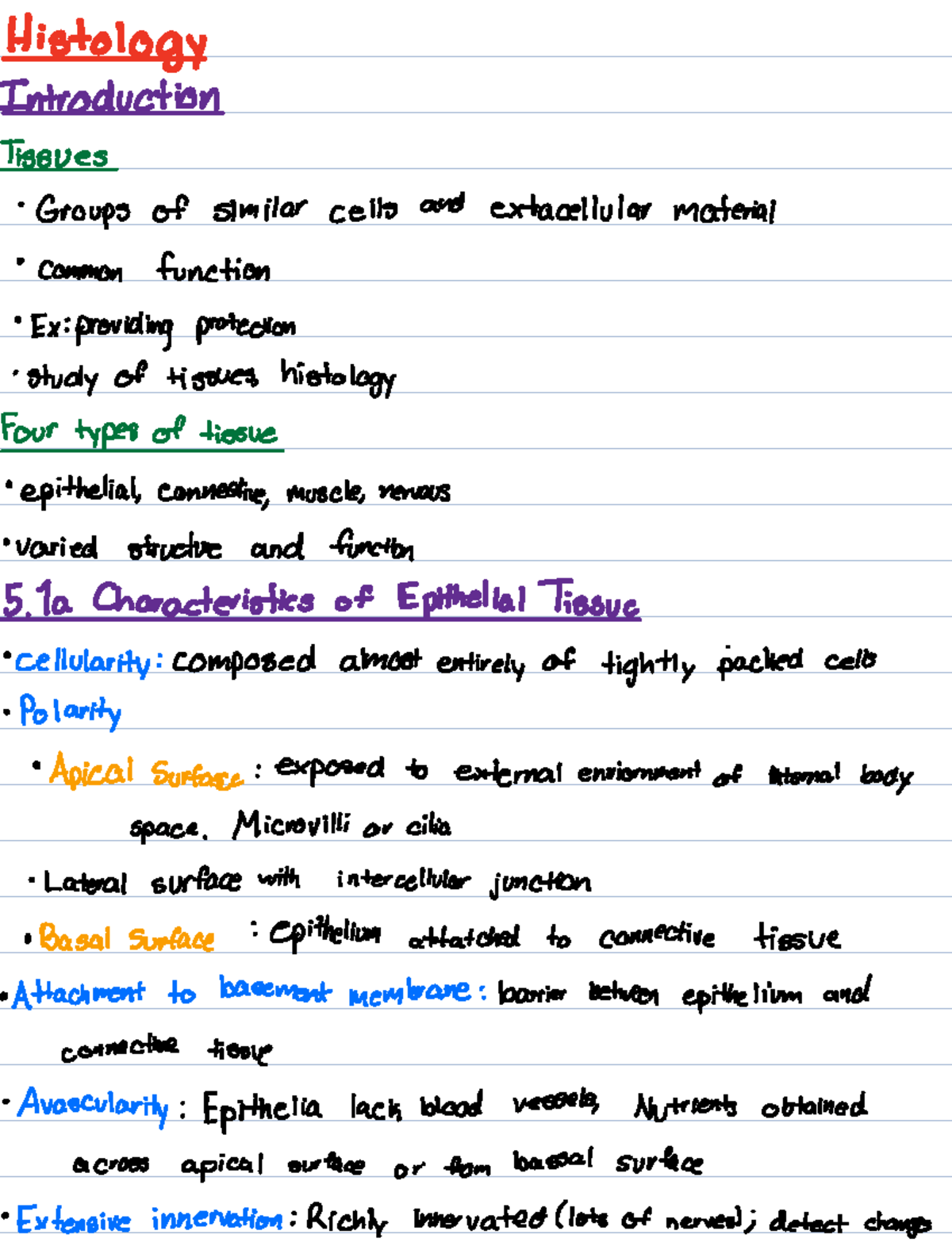 Chapter 5 - Contains the lecture notes from Chpt. 5 Slideshow ...