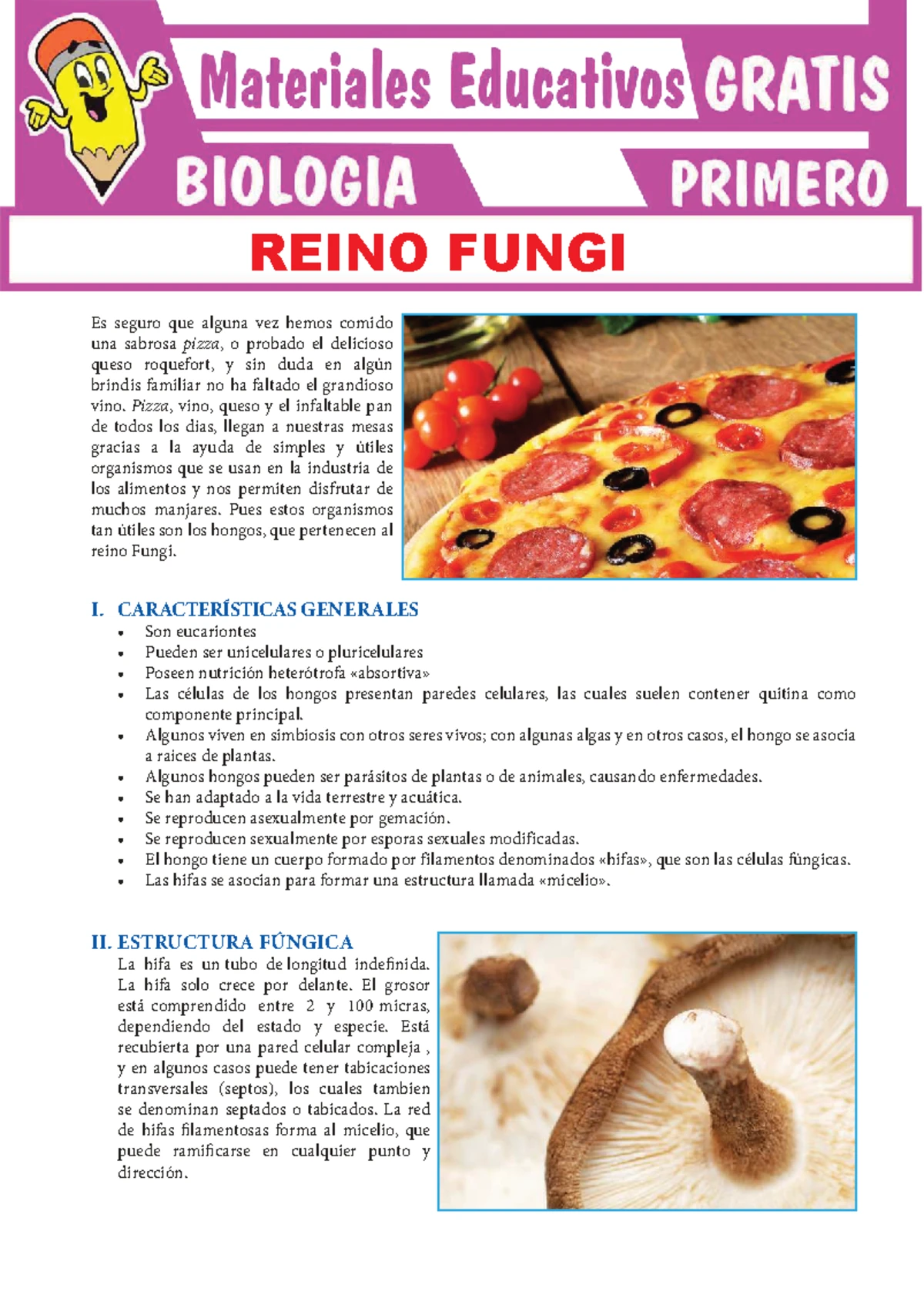 Reino Monera: Microorganismos y su Importancia en el Ecosistema - Studocu