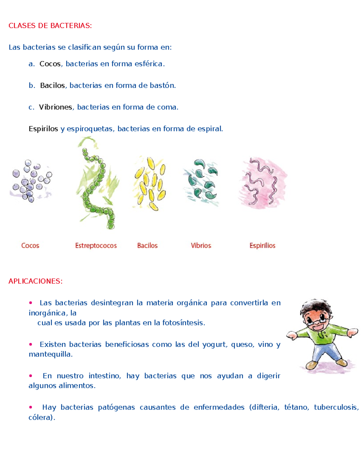 Reino Monera: Clasificación y Aplicaciones de las Bacterias - Studocu