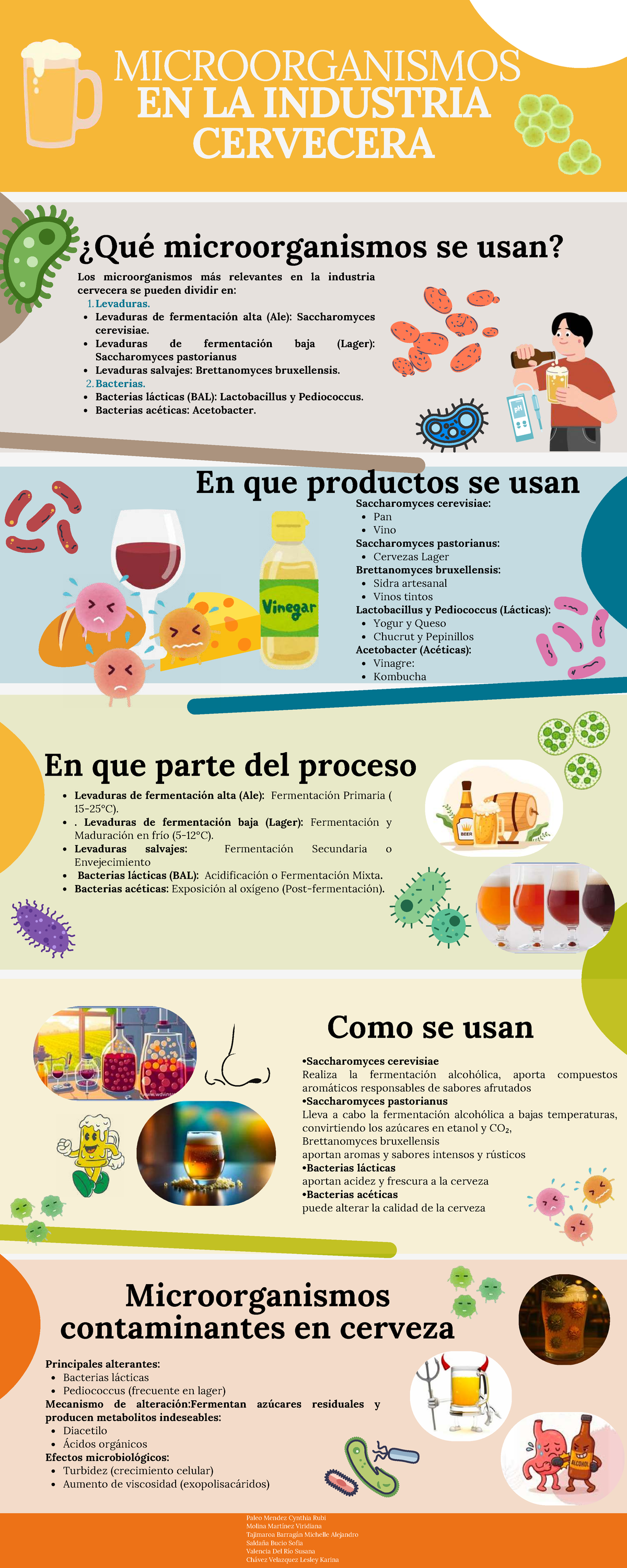MICROORGANISMOS EN LA INDUSTRIA CERVECERA: Tipos y Usos - Studocu
