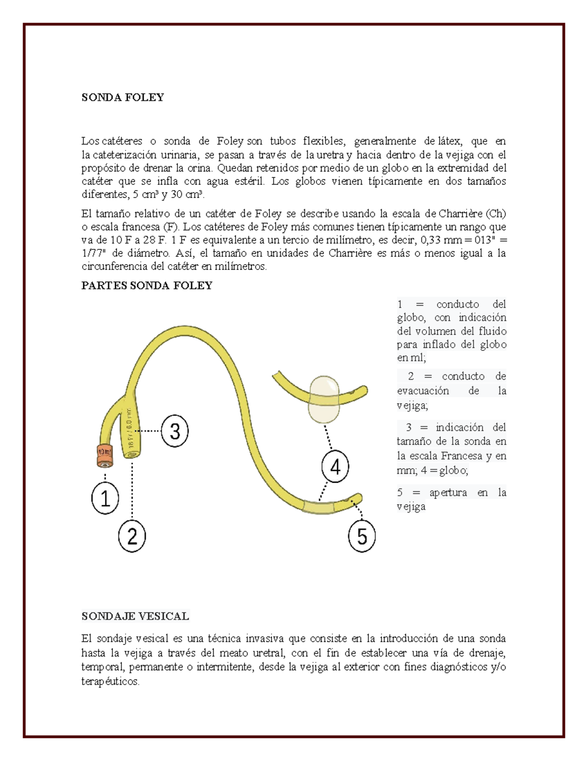 Sonda Foley: Guía Completa para Sondaje Vesical y Cuidados - Studocu