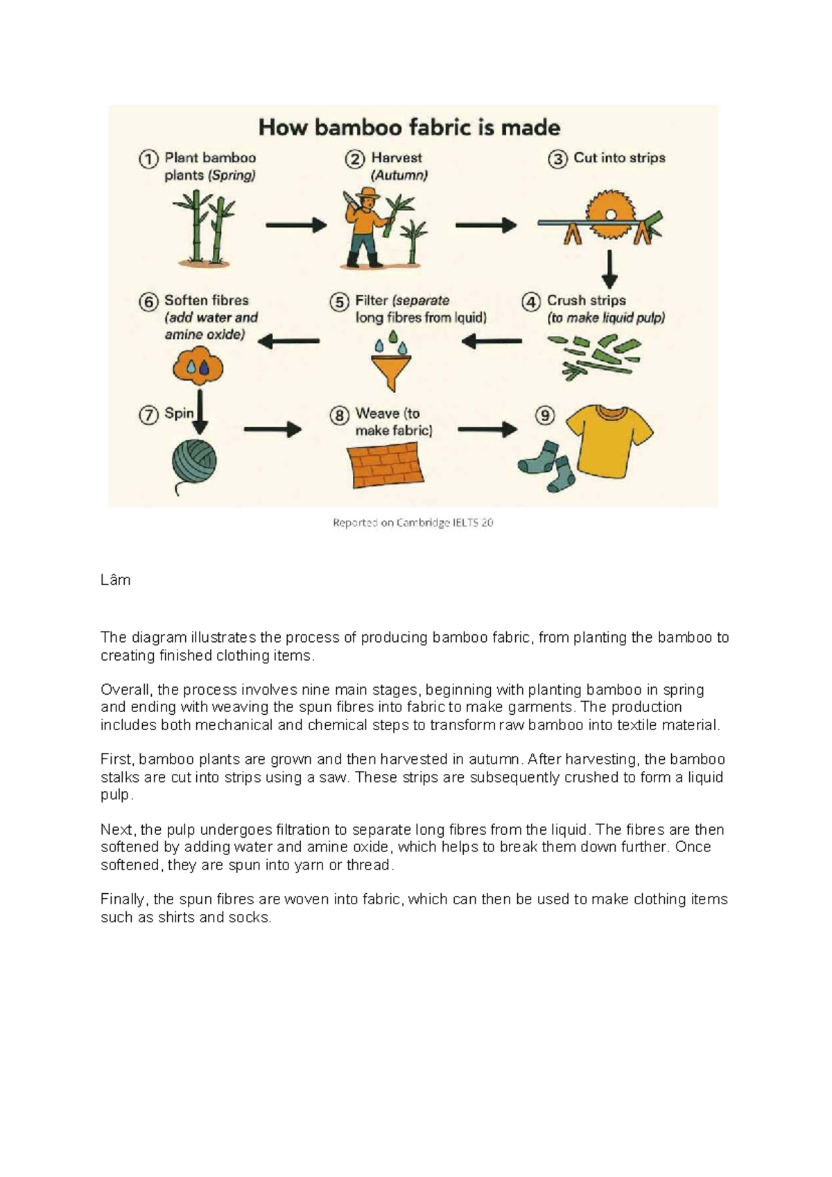 Bamboo Fabric Production Process and Environmental Impact Analysis ...