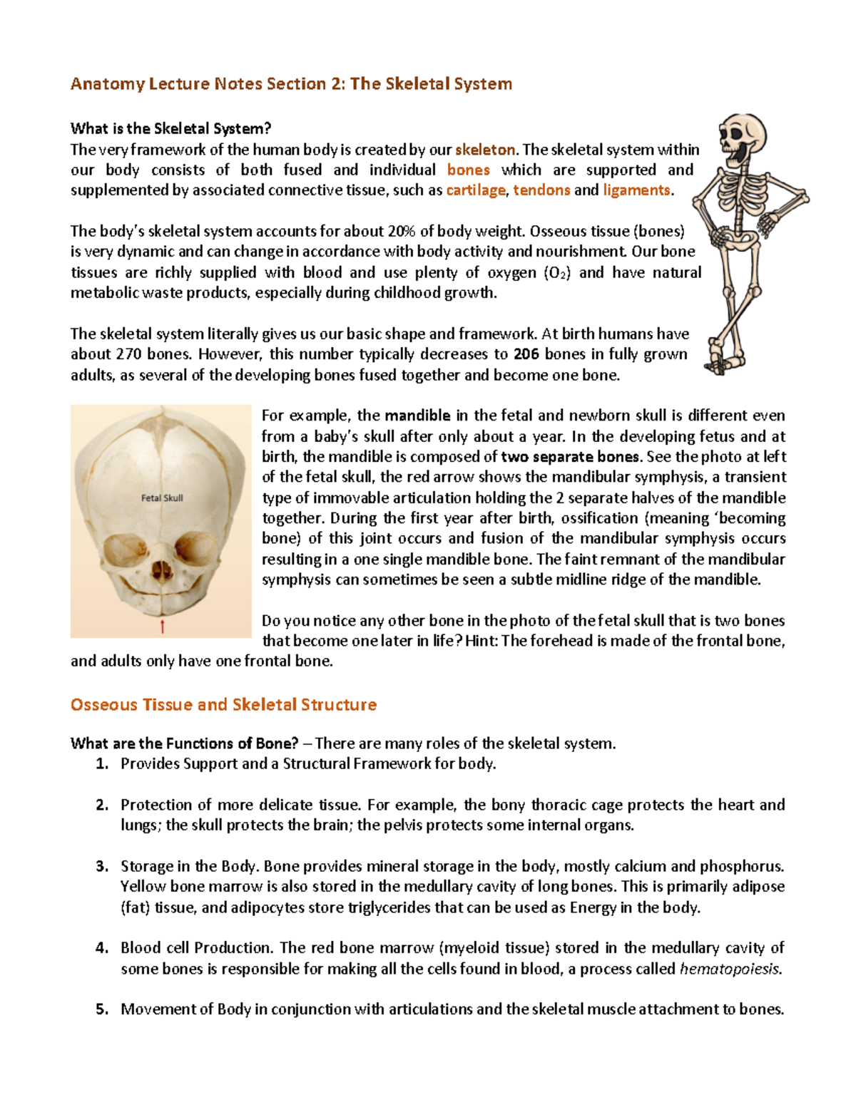 Anatomy Lecture Notes: The Skeletal System Overview (Course Code ...