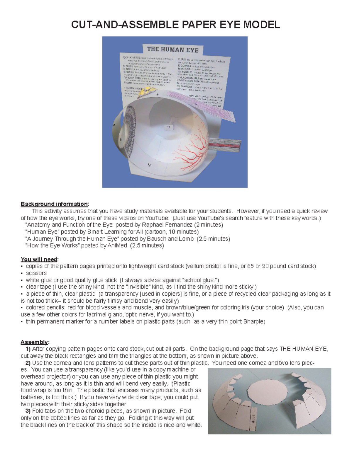 Paper Modelof Eye - CUT-AND-ASSEMBLE PAPER EYE MODEL Background ...