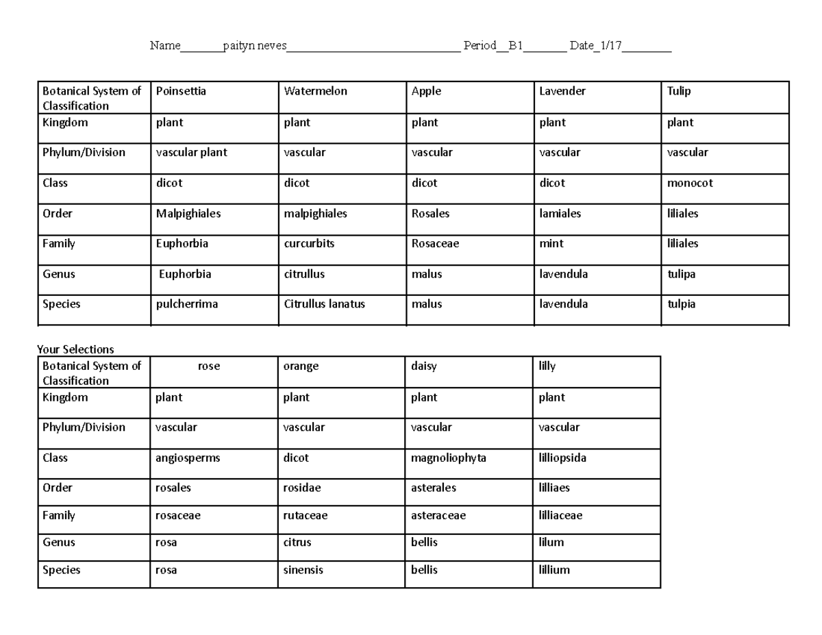 Classification Hunt Table - Name_______paityn neves ...