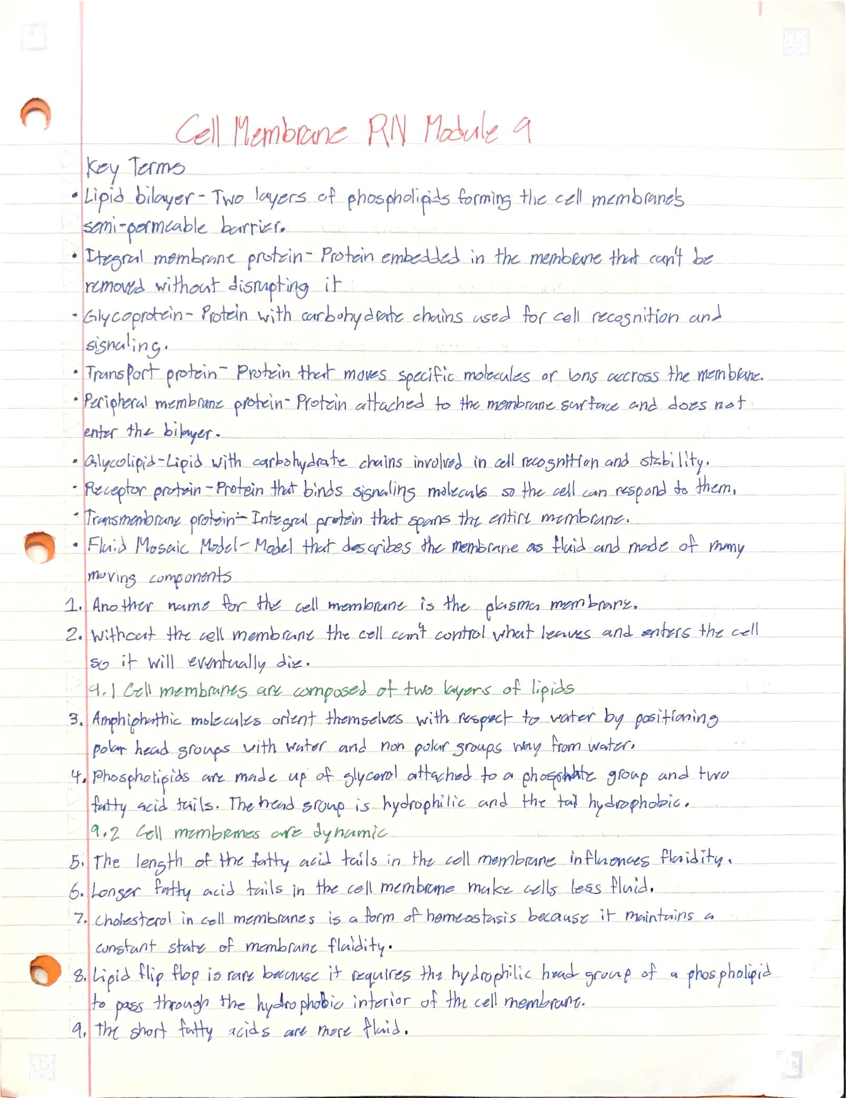 Cell Membrane RN Module 9: Key Terms and Concepts Explained - Studocu