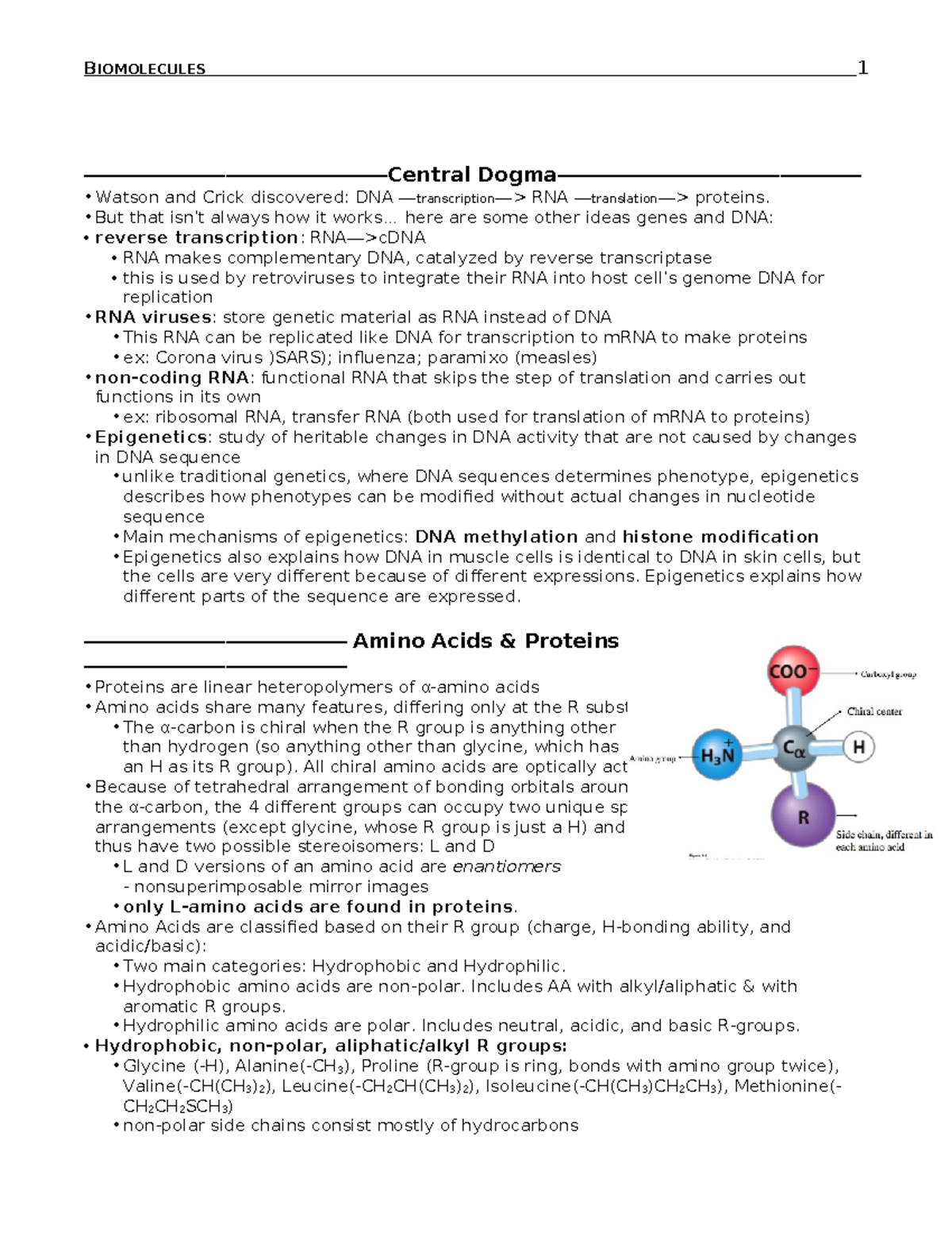 BIOMOLECULES 1: DNA, RNA, Proteins, and Genetic Regulation Notes - Studocu
