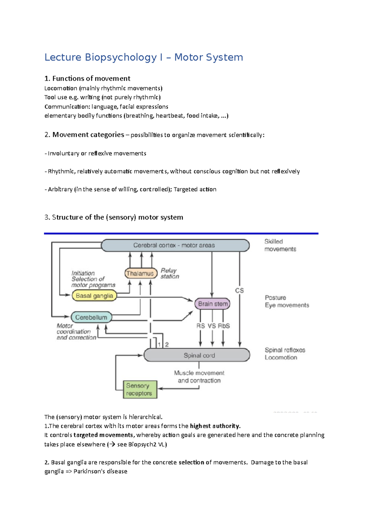 Lecture 4.1: Understanding the Motor System in Biopsychology I - Studocu