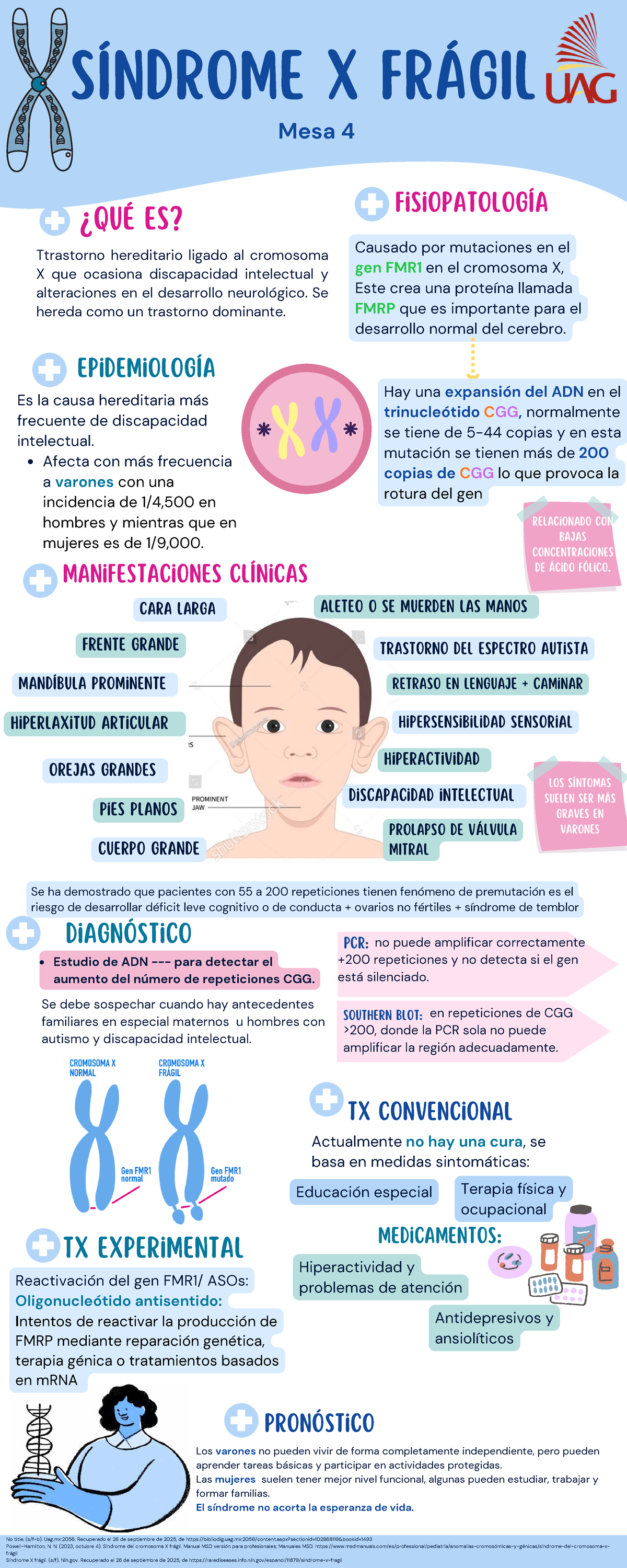 Infografía sobre el Síndrome X Frágil - Mesa 4 Fisiopatología - Studocu