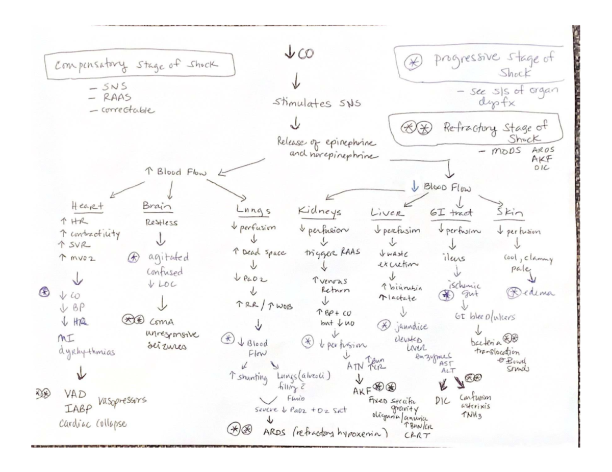 Stages in Shock: Understanding Compensatory to Refractory Stages - Studocu