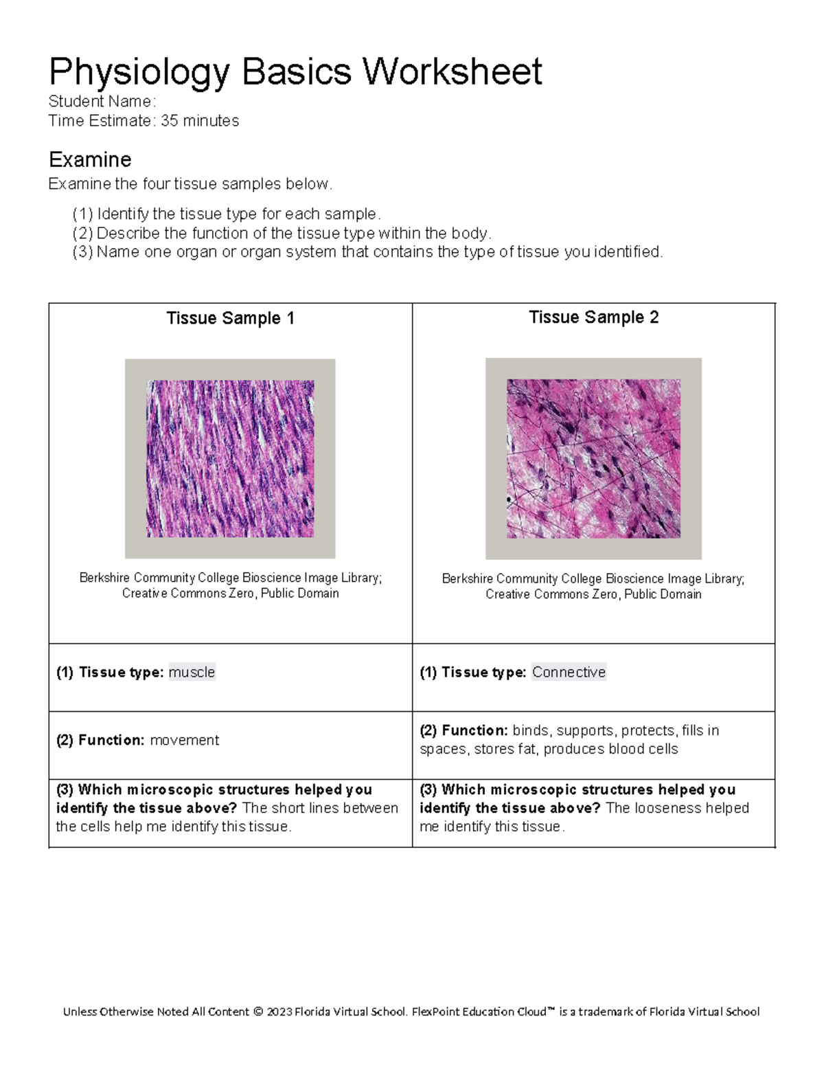 Physiology basics worksheet - Physiology Basics Worksheet Student Name ...