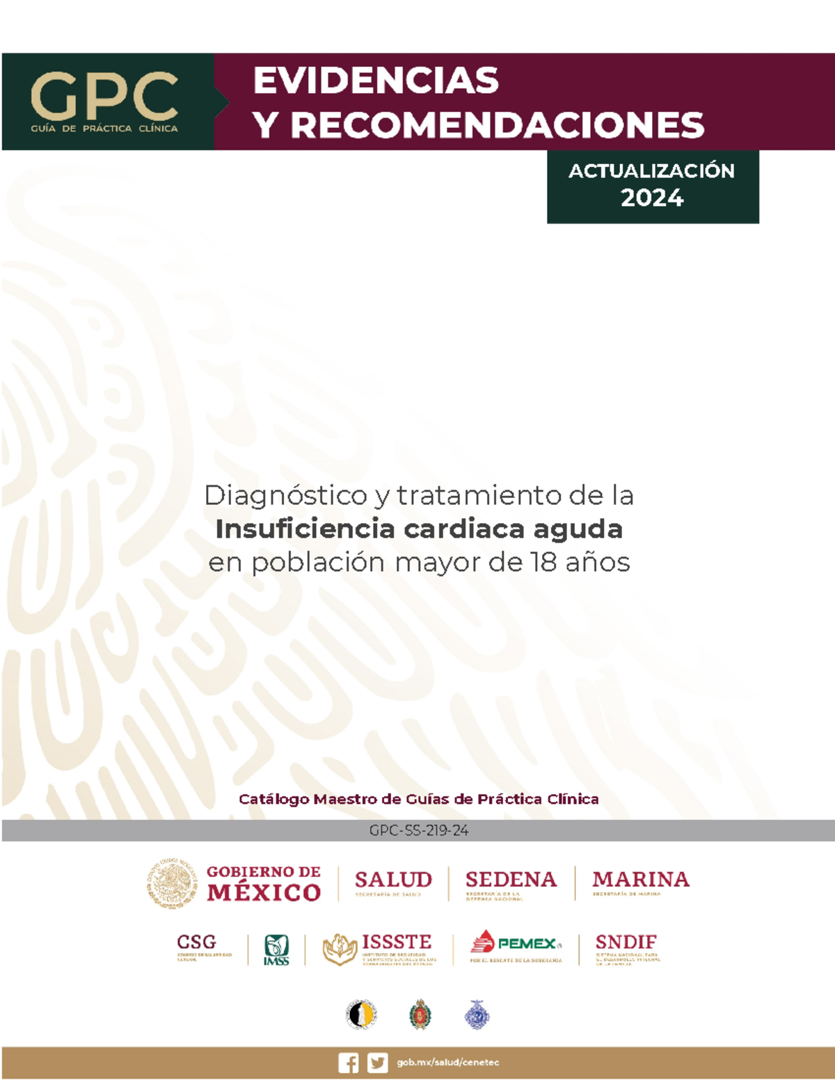 Guía de Práctica Clínica GPC-SS-219-24: Insuficiencia Cardíaca Aguda en Adultos 18+ - Document Preview
