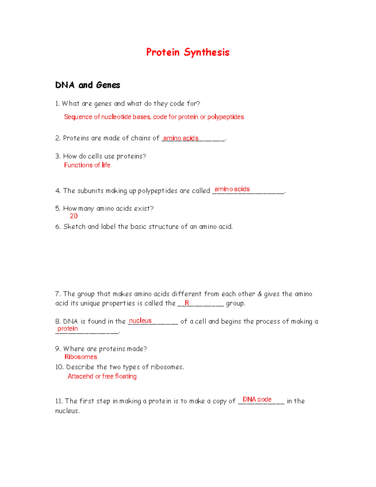 Protein Synthesis (BIO101) - Key Concepts and Questions - Studocu