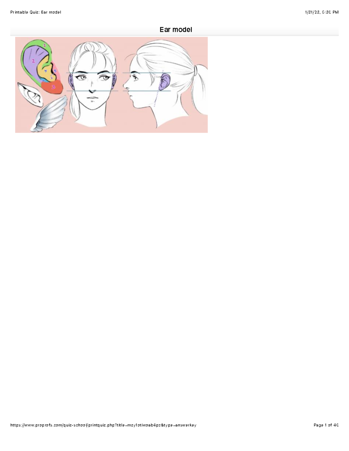 Ear Model 2 - Practice Quiz for Understanding Ear Anatomy - Studocu