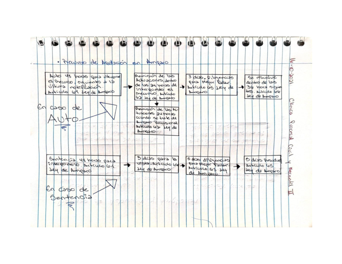 Esquemas Recurso de Apelacion Ampliacion y Aclaracion en Materia de Amparo - Document Preview