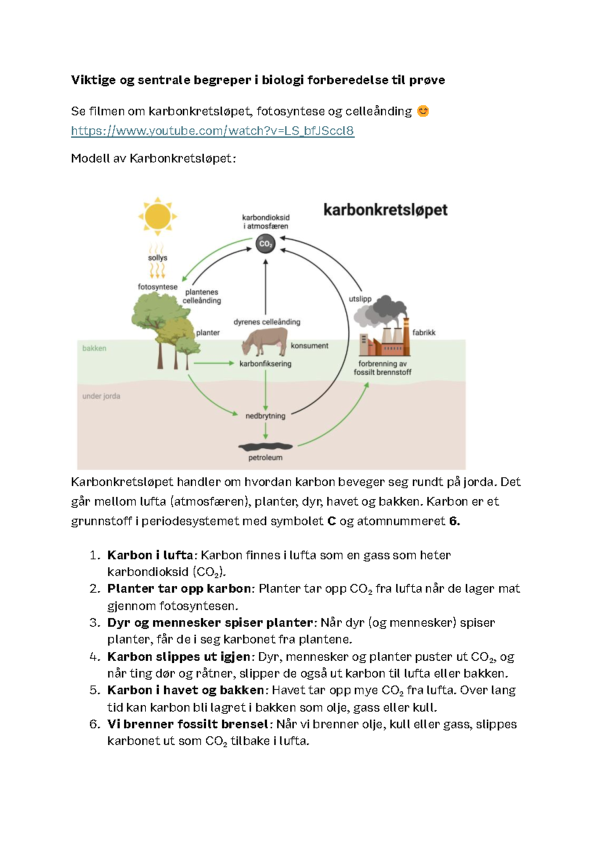 Bergmynte – Wikipedia, image size:1200x1696