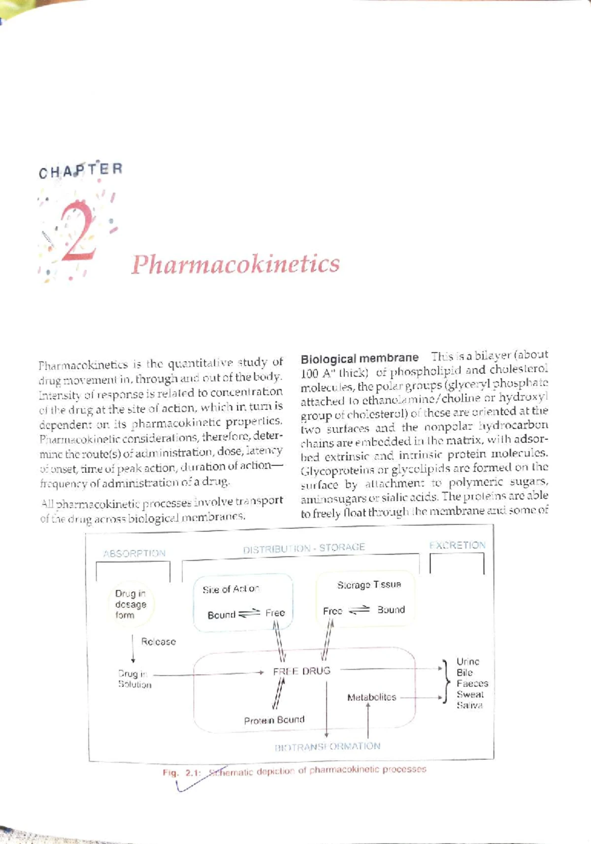 Comprehensive Study Notes on Pharmacokinetics for Course Code C9A4A21D ...