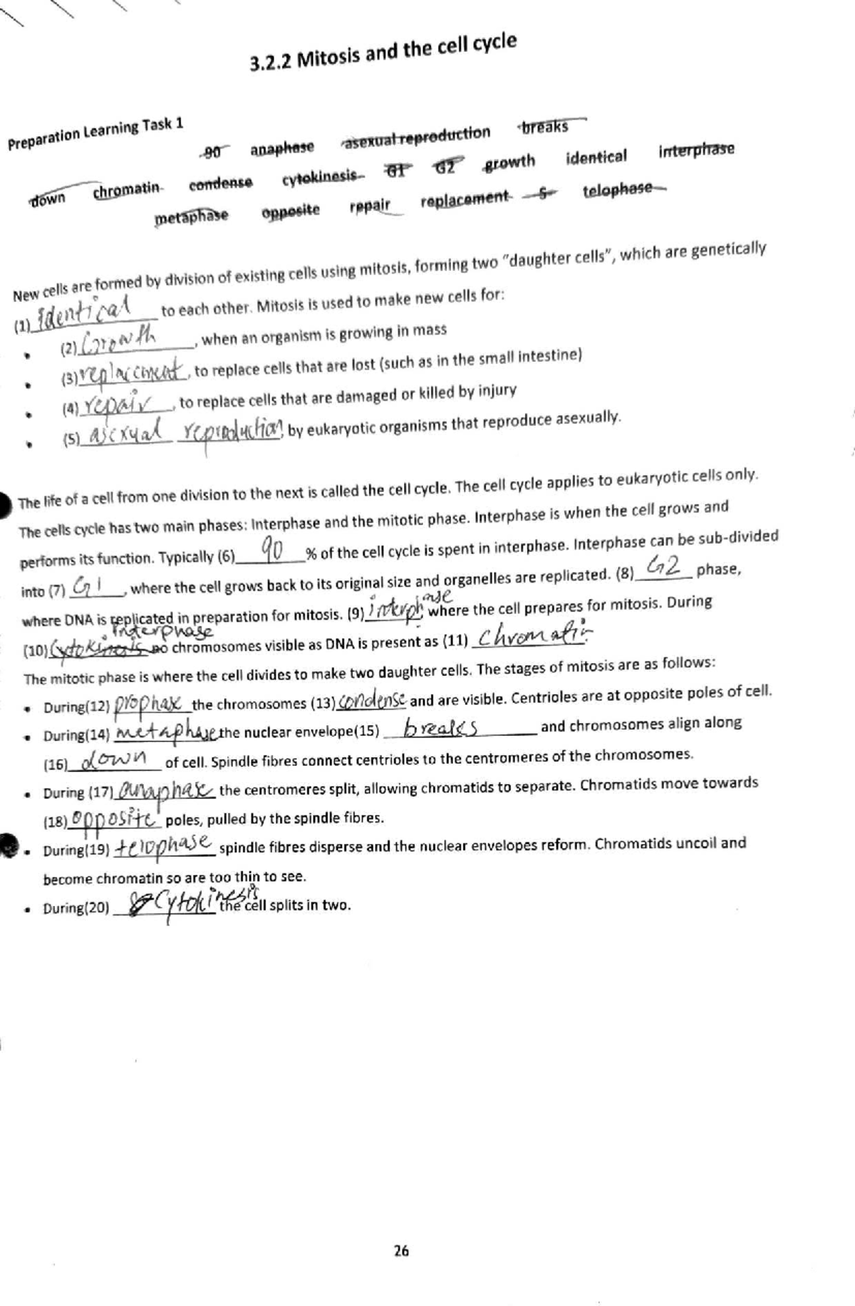 3.2.2 Mitosis and the cell cycle: Preparation learning task notes - Studocu