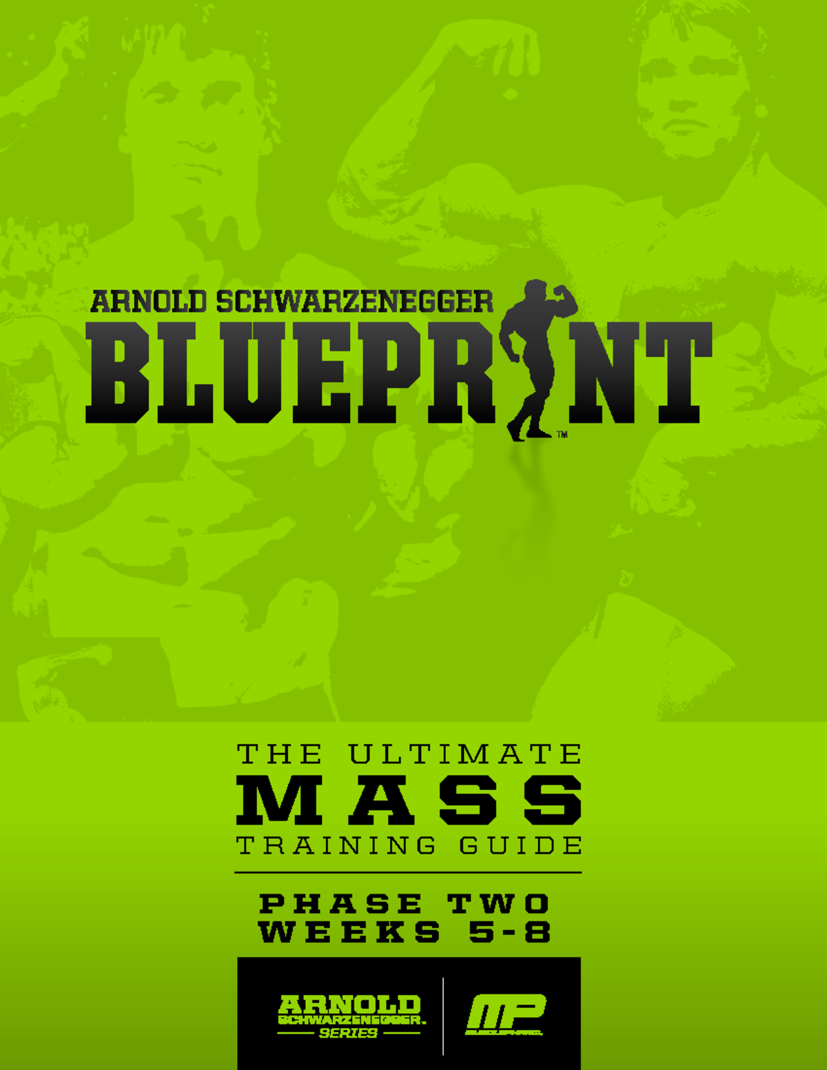 Arnold Blueprint: Mass Phase 2 Training & Diet Guide - Studocu