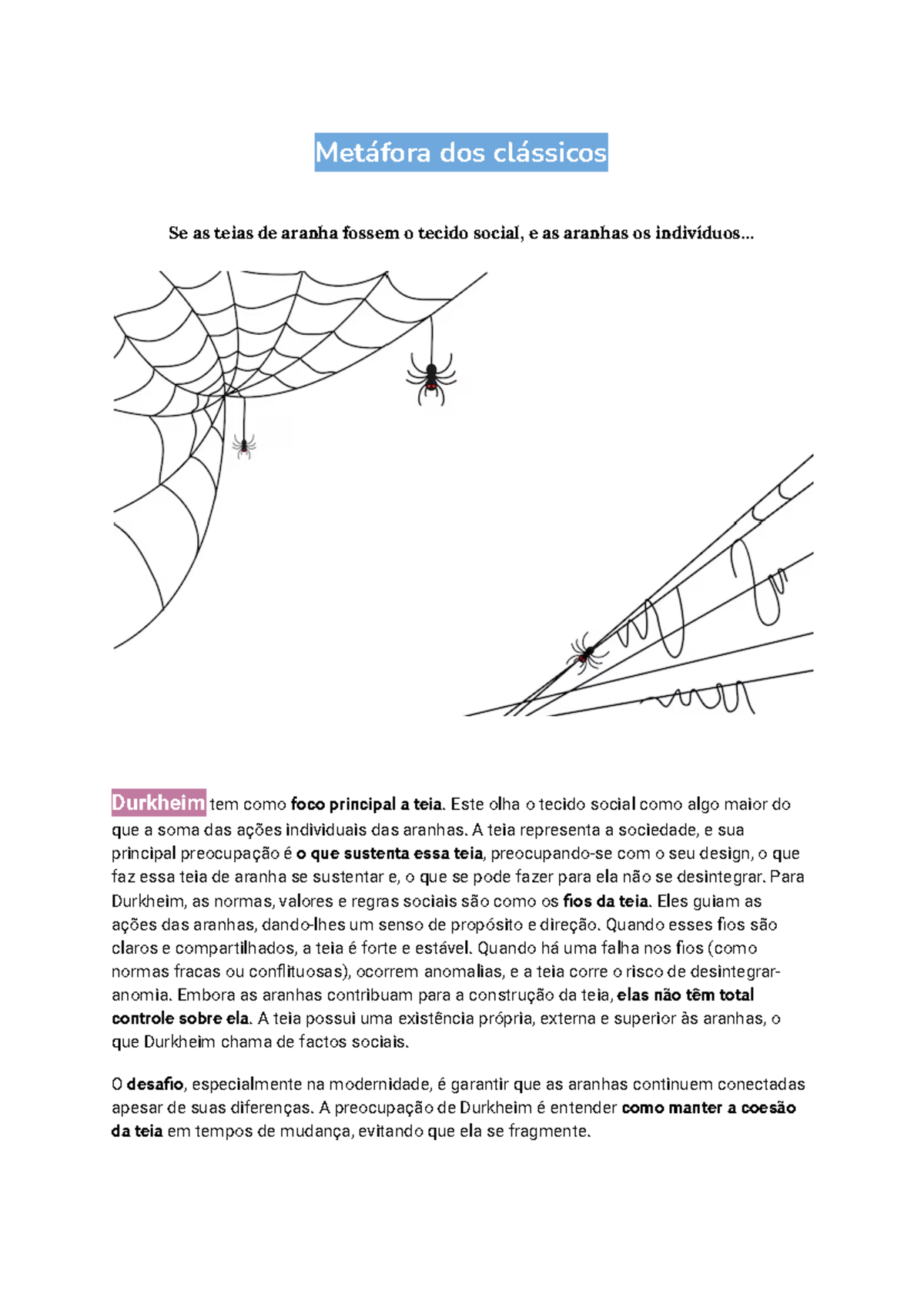 Autores Clássicos- Metáfora Da Teia De Aranha - Metáfora Dos Clássicos 