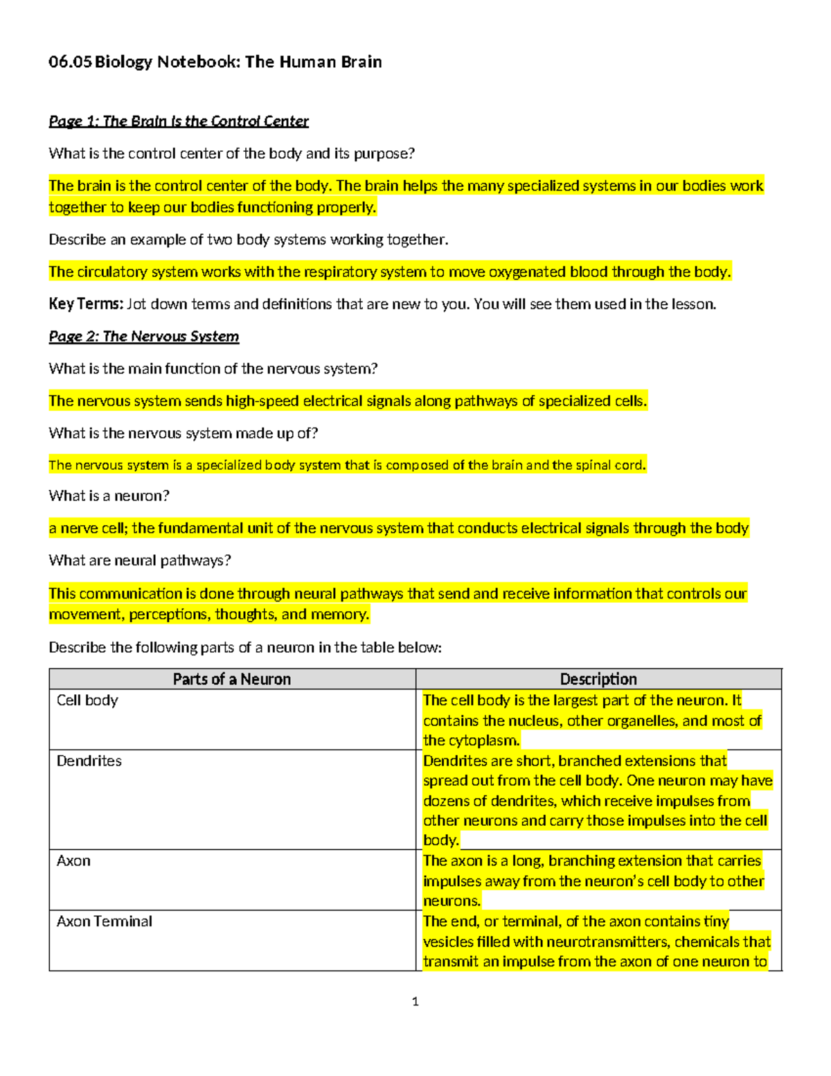 06.05 Biology Notes: Understanding the Human Brain and Nervous System ...