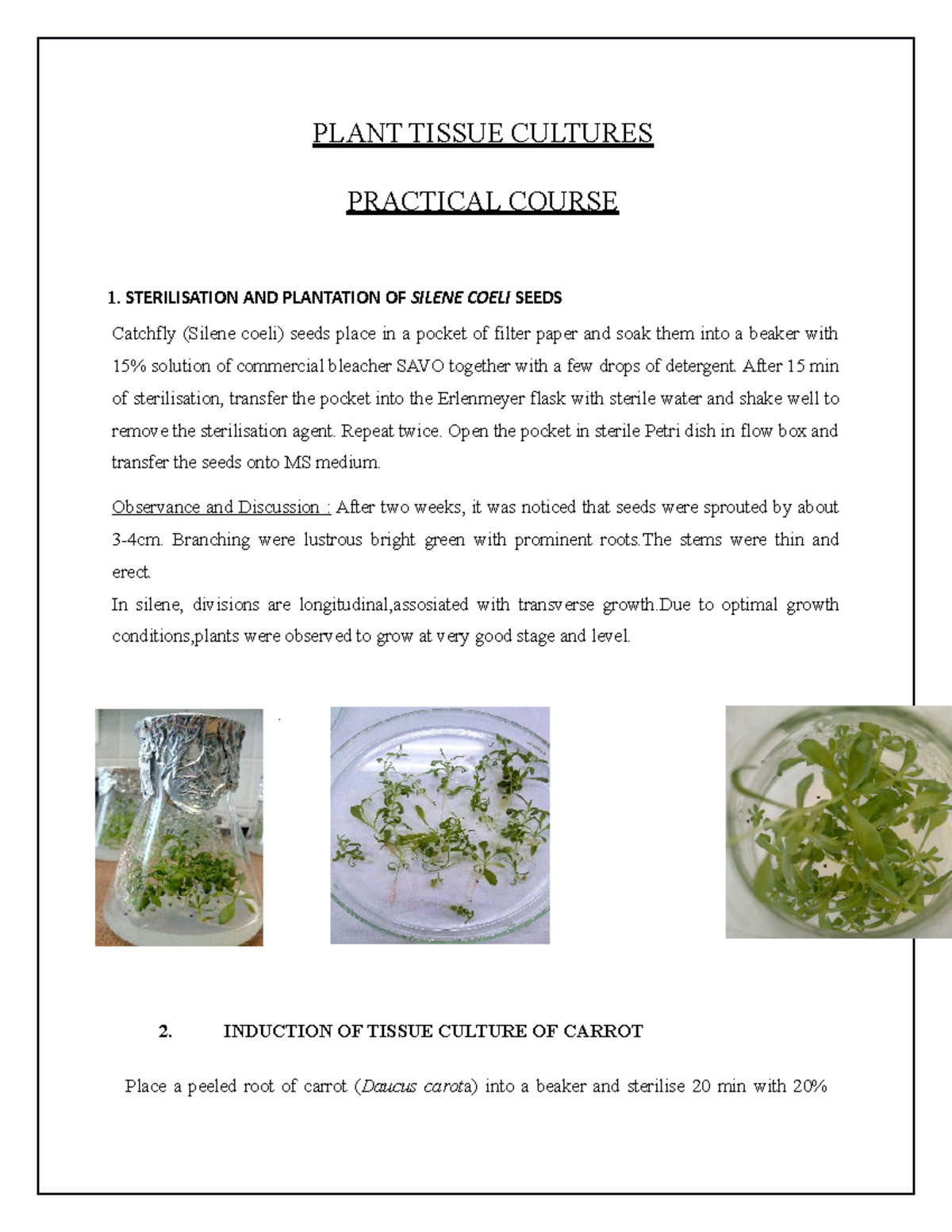 PLT-2303: Practical Course on Plant Tissue Culture Techniques - Studocu