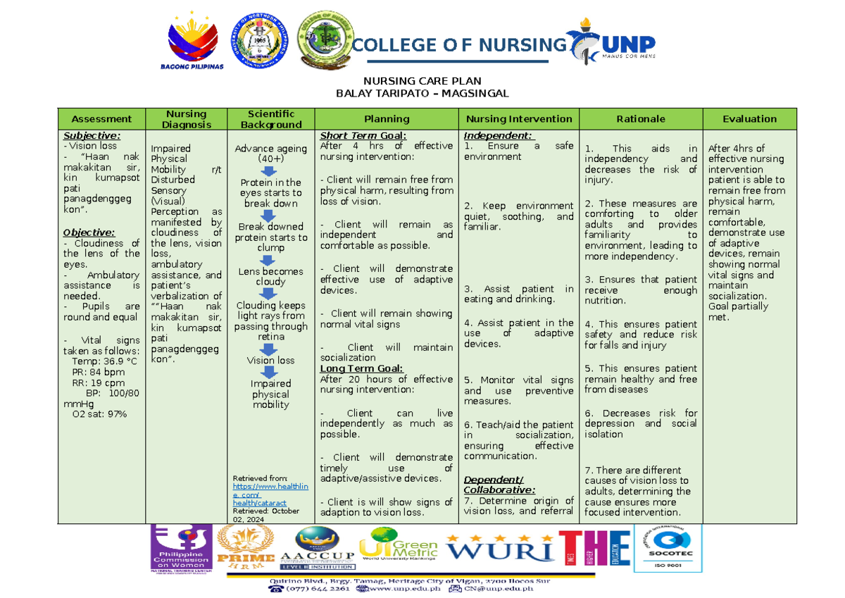 Nursing CARE PLAN for Vision Loss – Final Exam NURS 101 - Studocu