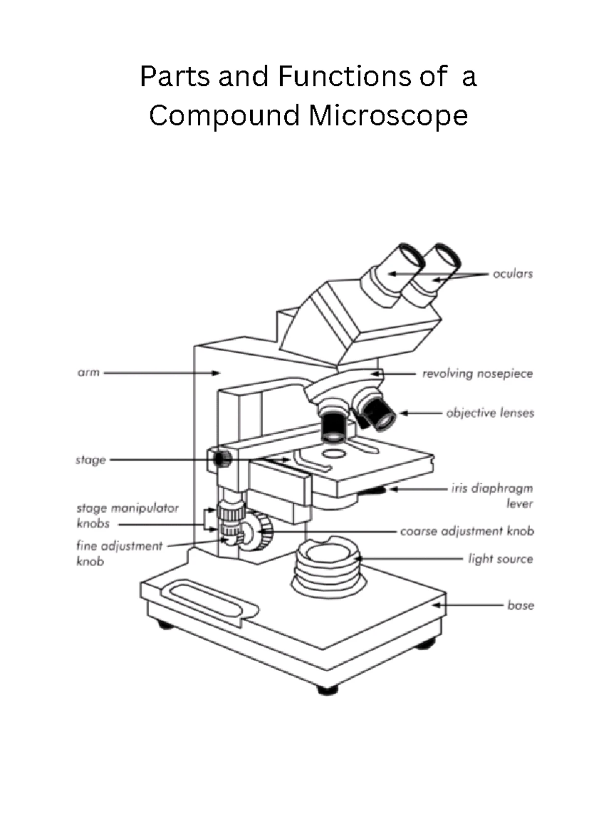 C4EB2880 Compound Microscope: Parts & Functions Overview - Studocu