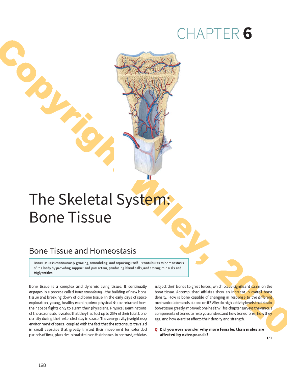 Unit 2 Study Material: Understanding Bone Tissue and the Skeletal ...
