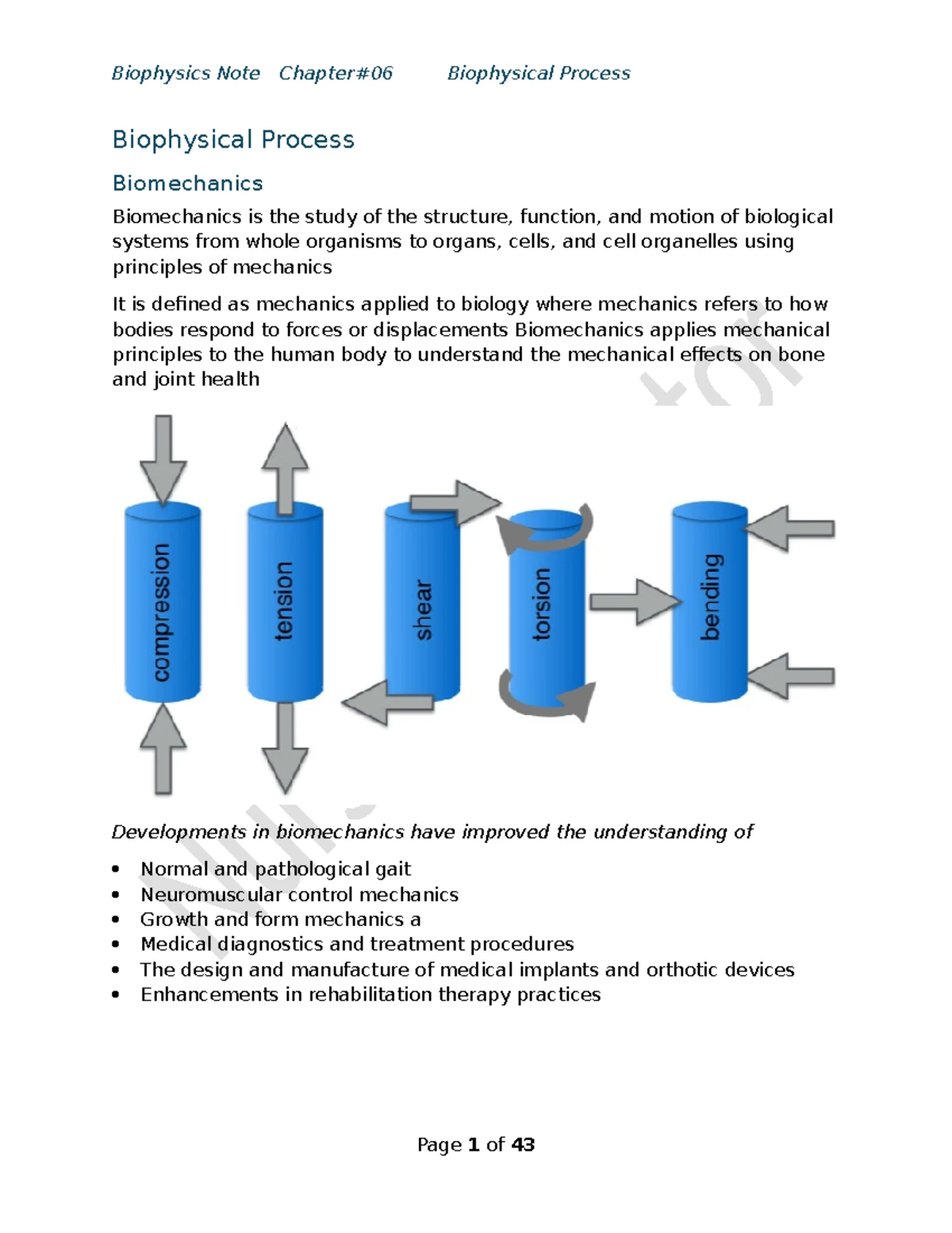 Nucleotides Notes: Biophysics & Biochemistry Overview of RNA & DNA ...