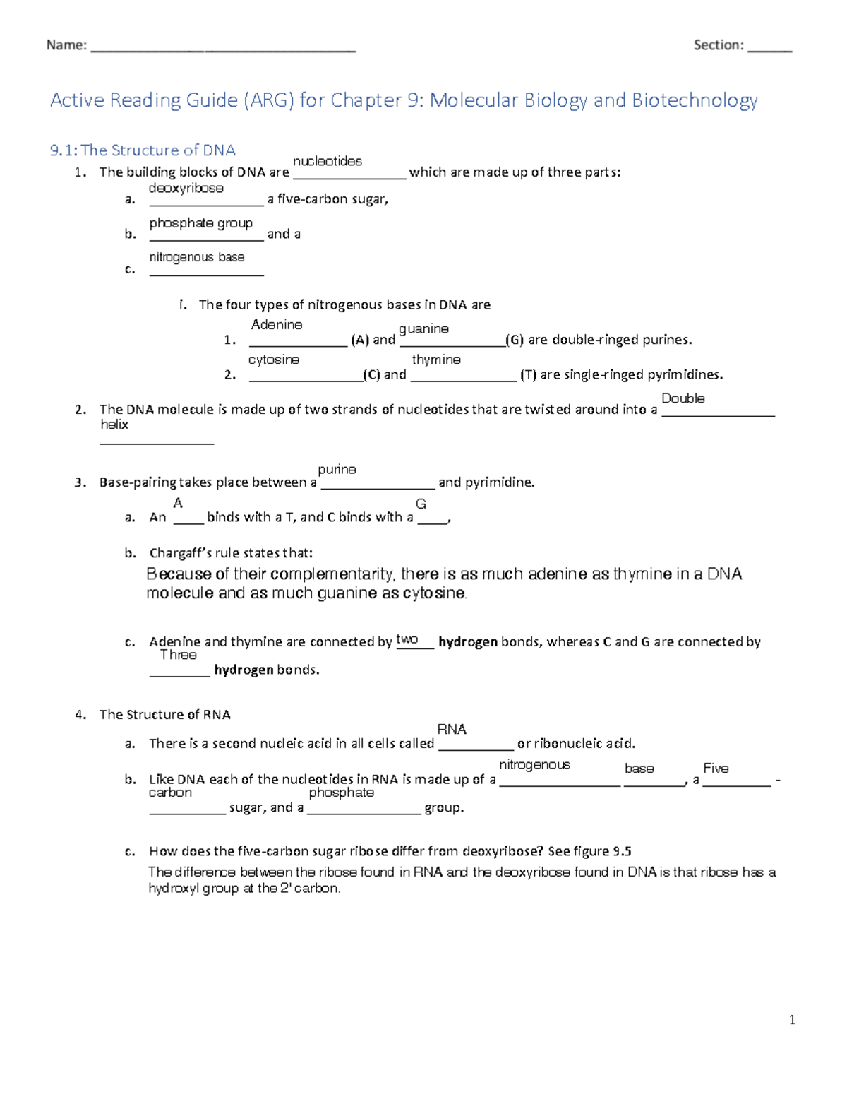 Chapter 9 ARG: Structure of DNA & RNA Replication Guide - Studocu